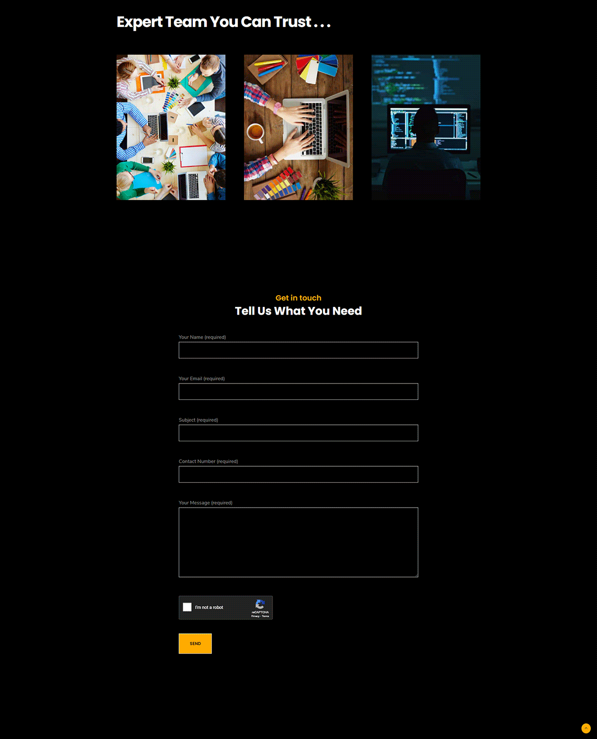 ICAV Tech Website Screenshot 4